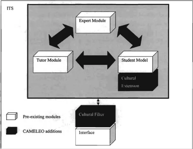 Figure 3.1  - CAMELEO expansion oflTS - derived from  [Burns and Capps,  1988] 