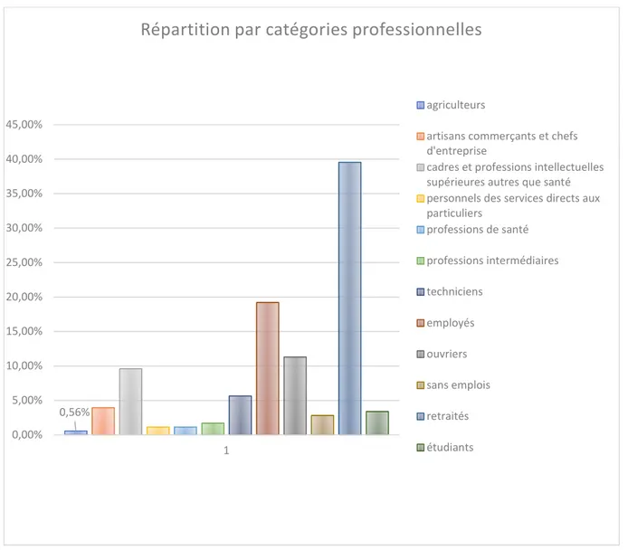 Figure 13 - Résultats du questionnaire : répartition des patients par catégorie professionnelle 