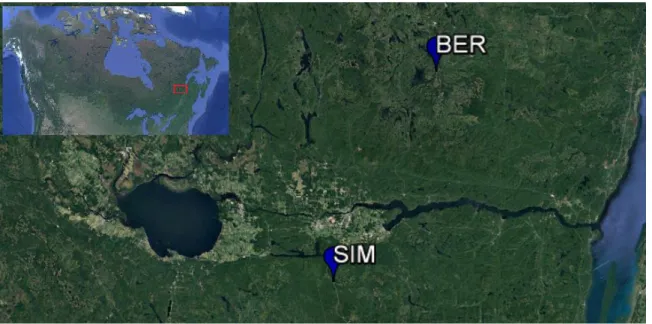 Figure 10. Localisation des sites d'étude (SIM : 48°13’N, 71°15’W et BER : 48°515 N,  70°20' W) 