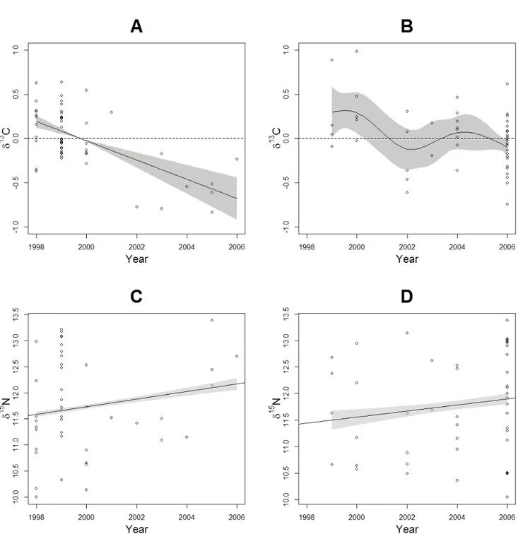 Fig. 25: Interannual δ 13 C (GAMs) and δ 15 N (GLMs) trends prior (A and C) and after September 1 st  (B  and D) for fin whales sampled in the St