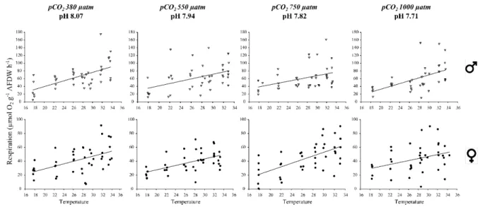 Figure 4: Mean (± SE) Q 10  values for C. fornicata females (white bars) and males (grey bars) 783 