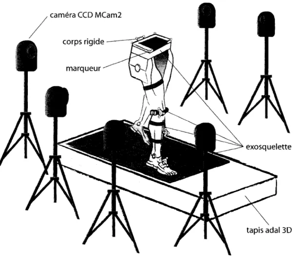 Figure 7  Illustration d'une acquisition de marche au LlO 