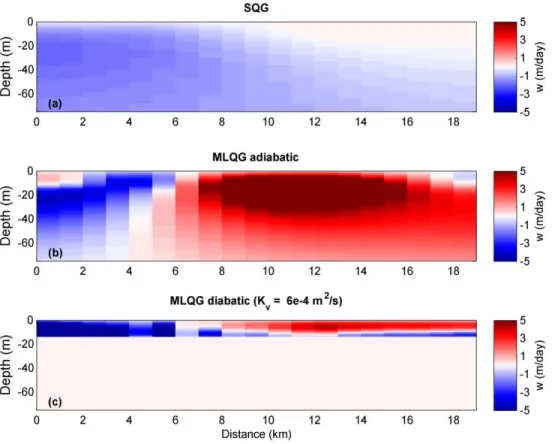 Figure  10.  Vertical  velocities  diagnosed  with  the  SQG  model  (a)  and  the  MLQG  model  (b,c) along the transect