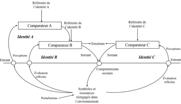 Figure 2.3. Modèle pour trois identités au sein d’un individu (Burke et Stets, 2009, p.134,  traduction libre) 