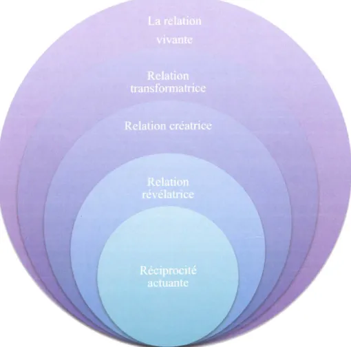 Figure  7  :  Le  processus  évolutif  de la  relation vivante