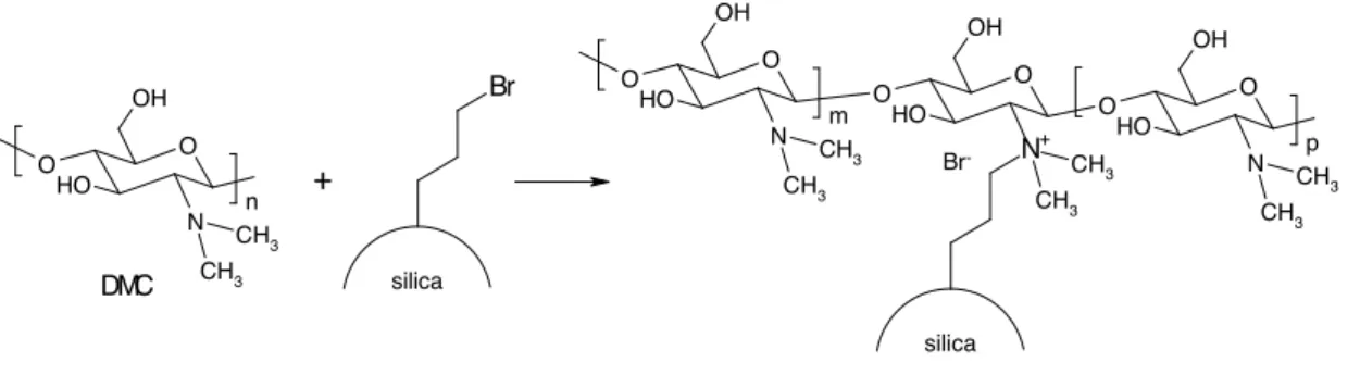 Figure 7. Immobilization of DMC on modified silica 