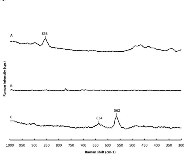 Figure 9. Raman spectra of A) immobilized DMC; B) DMC; C) SiliaBond propyl bromide 