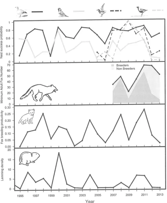 Figure  2. Nest  success  probability,  index  of  arctic  fox  abundance,  arctic  fox  breeding prôductiyity  (proportion  of  dens  with  litters),  and  lemming density (individuals  per  ha) on