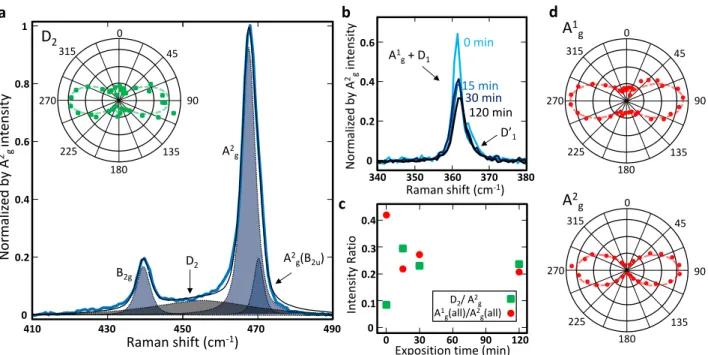 Figure 3.3. Presentation of the mode D 2 along with its polarization proper- proper-ties and evolution during degradation in ambient conditions