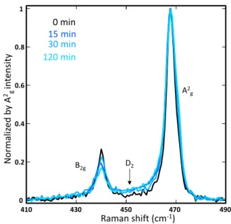 Figure 3.7. Raman spectra of a n = 5 layer 2D-phosphane presented in Fig. 3.3 after an exposure time of 0, 15, 30 and 120 minutes to ambient  condi-tions at T = 300 K.