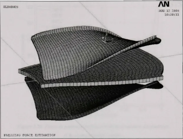 Figure 3.19  Géométrie du modèle  avec  la plaque maillée en coque. 