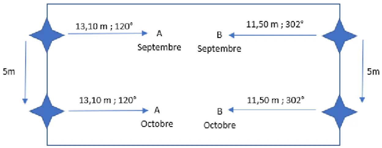 Figure  5 :    Méthode  d’échantillonnage  systématique  le  long  d’un  transect.  Chaque  échantillonnage était séparé par une distance de 5 m