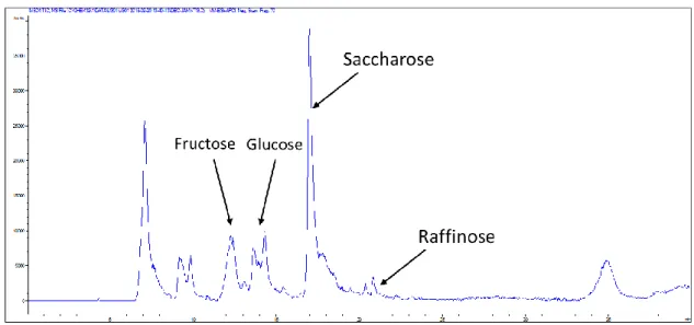 Figure 10 : Chromatogramme d’un extrait de tige effectué sur HPLC-RID correspondant aux  échantillons récoltés durant le mois de novembre