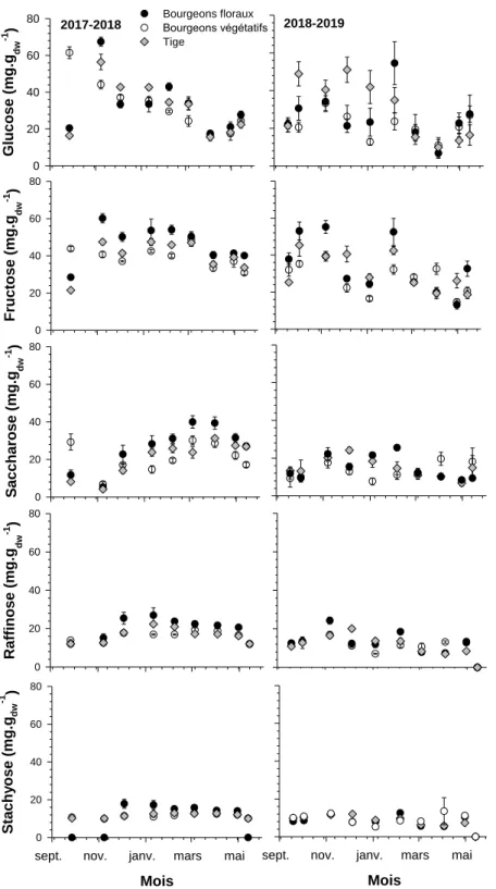 Figure 12 : Variation de la concentration en sucre en fonction des mois pour les trois organes  étudiés : bourgeons floraux, bourgeons végétatifs et tige durant la période s’échelonnant  de  septembre  à  mai  2017-2018  (à  gauche)  et  2018-2019  (à  dro