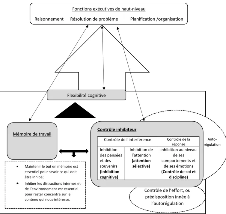 Figure 9. Fonctions exécutives : la base des fonctions complexes. Adaptation de  Diamond (2013)