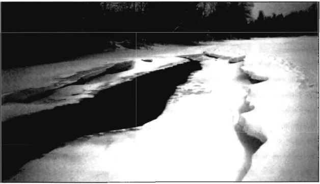 Figure  1.5  Évolution  du  couvert  glaciel  dans  la  section  amont  (PK36 .9)  illustrant  l'interaction  entre  les  trois  phases  de  mises  en  place  du  couvert  glaciel  (photo:  Johan  Bérubé) 