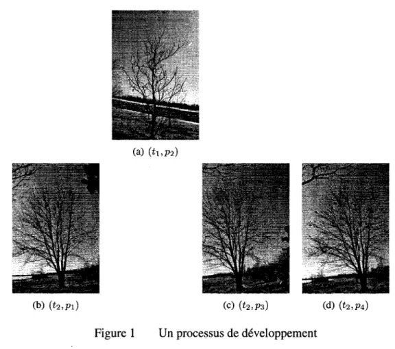 Figure  1  Un processus de développement 