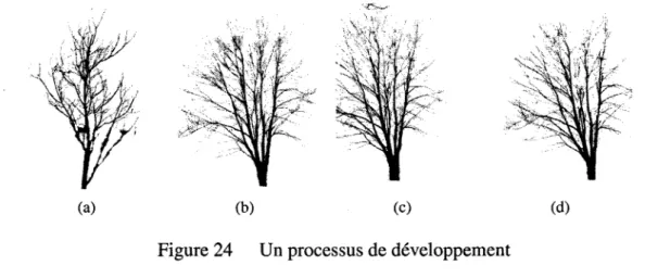 Figure 24  Un processus de développement 