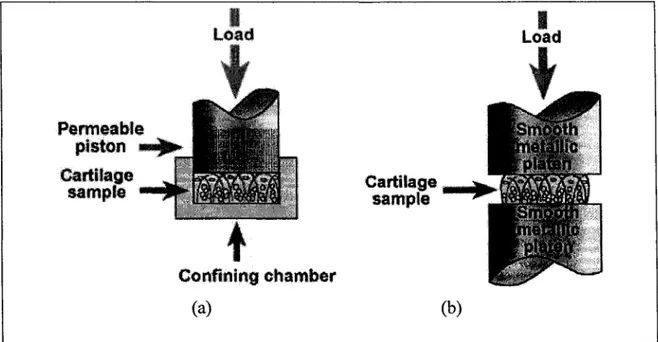 Figure 1.4  Configuration de chargement in vitro. 