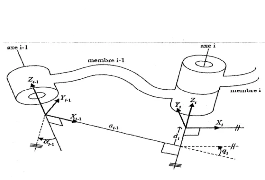 Figure 15  Schématisation des paramètres de Craig [23]  du membre i-1  au membre i 