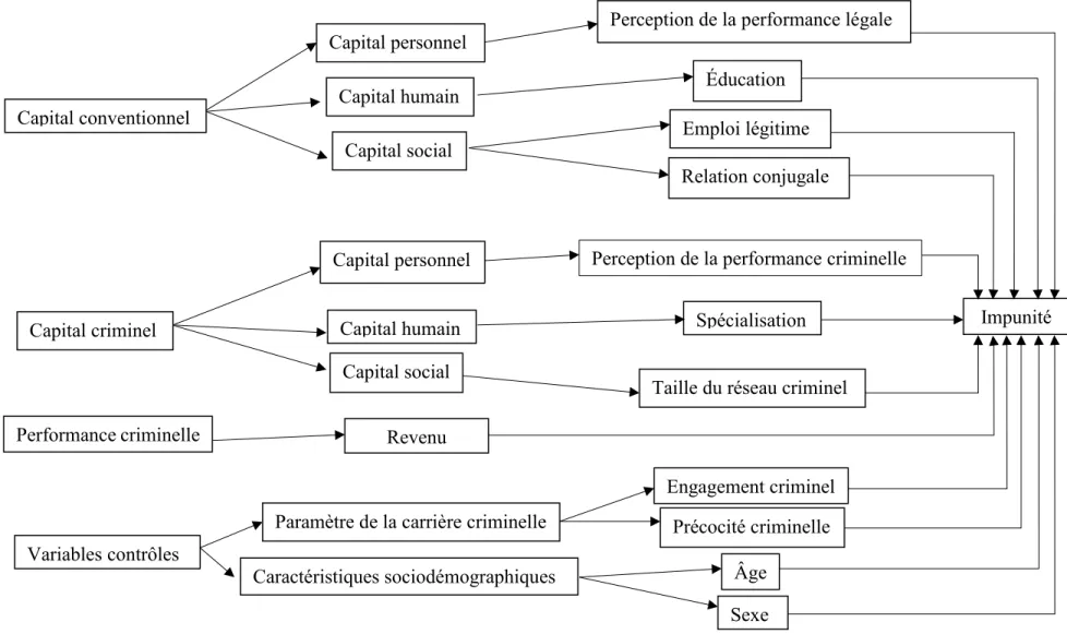 Figure 2. Schéma conceptuel de la performance criminelle selon les expériences d’impunité  Capital conventionnel  Capital criminel  Performance criminelle  Variables contrôles  Caractéristiques sociodémographiques Paramètre de la carrière criminelle 