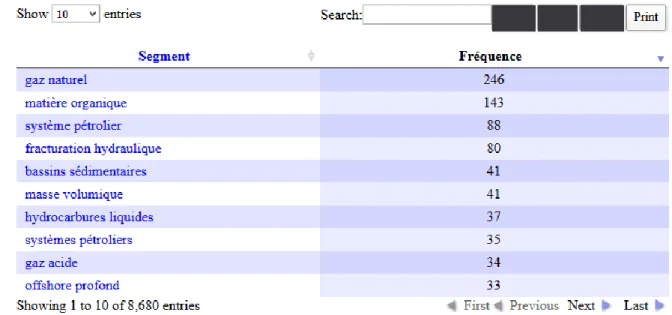 Figure 13 : Liste des patterns du type : NOM ADJ trouvés par AnaText dans le corpus de forage