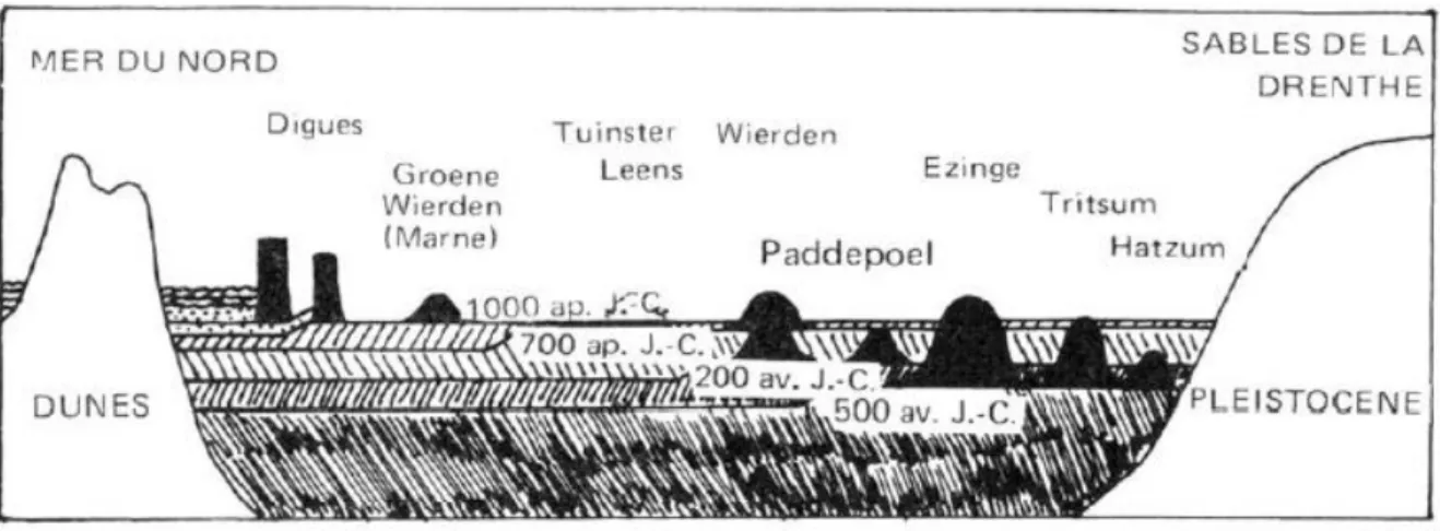 Figure 5 : coupe diachronique de la Frise hollandaise. La mer est à gauche, le continent à droite (source : Lebecq, 1979)