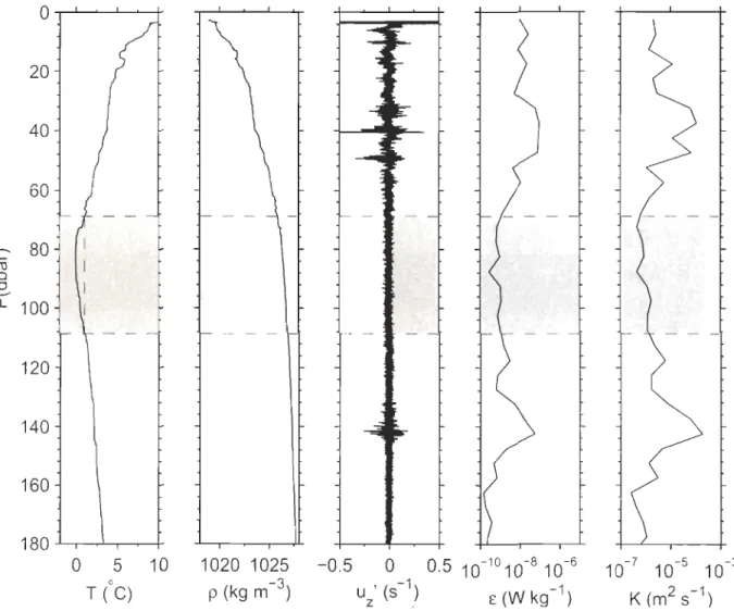 Figure 9:  Typical turbulence  profiler measurement s,  from  July  21  2009.  The three  left-hand  panels (temperature, sea water den sity and vertical  shear) are unfiltered profiles, i.e