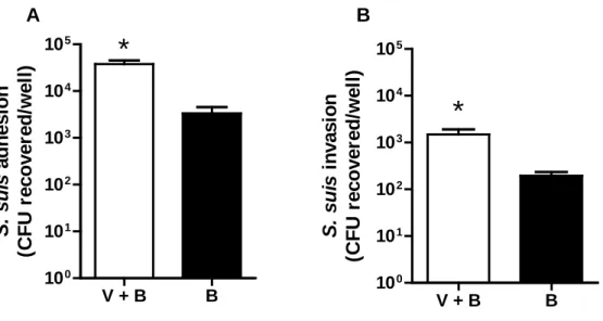 FIG 6 Pre-incubation of S. suis and swH1N1 significantly increases bacterial adhesion to and invasion of NPTr cells