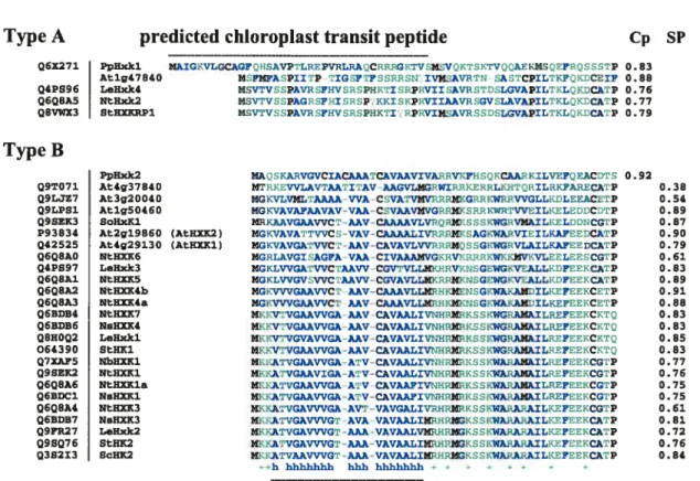 Figure 2.3: Multiple alignment of N-terminal sequences of hexokinases from five plant species, and their predicted targeting to the chloroplast (Cp) or to the secretory pathway (SP), using the TargetP 1.1 program.