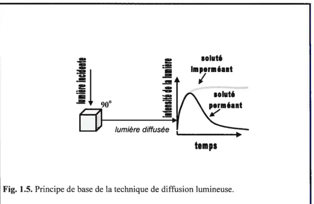 Fig. 1.5. Principe de base de la technique de diffusion lumineuse.