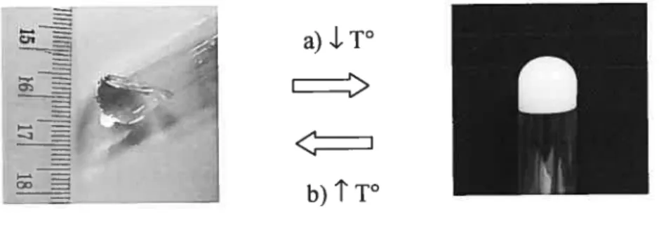 Figure 1.11. Détermination des températures de transition d’un 0G constitué de 10% p/v de SAE dans l’huile de carthame par la méthode du tube inversé