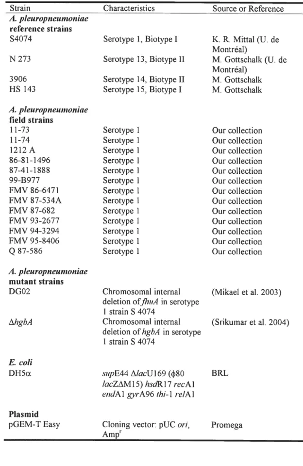 Table 1. Strains and plasmid used in this study.