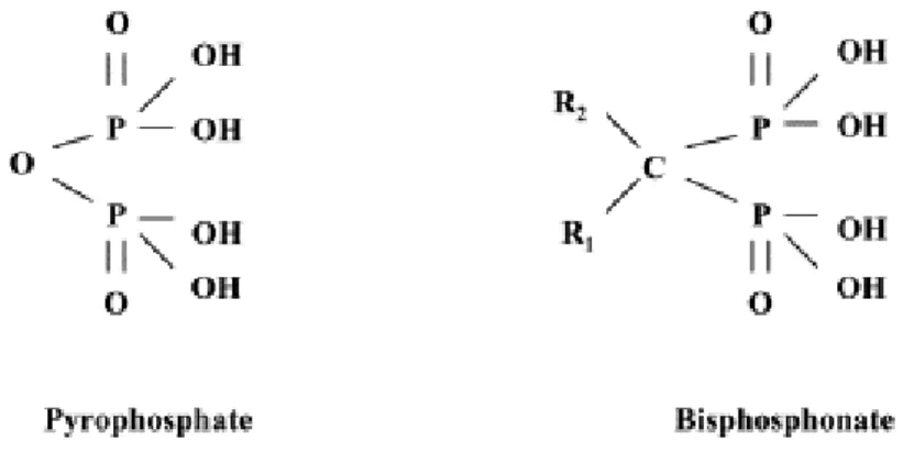 Figure 1 : Analogie structurale du PPi et des bisphosphonates 