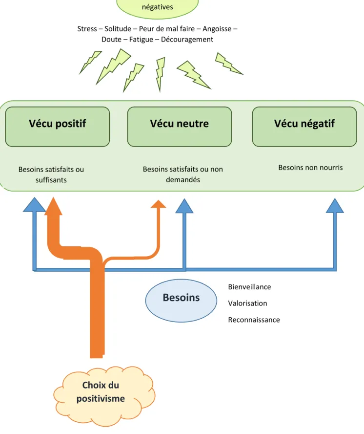 Figure 1 : résultat principal : les différents vécus   Emotions 