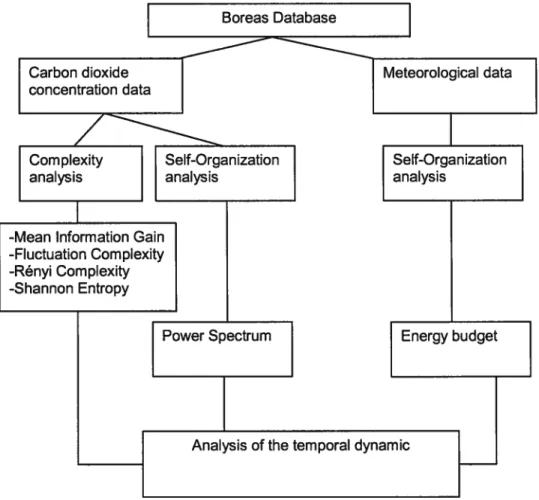 figure L Methodological diagram