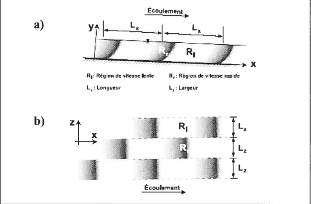Figure 1.6 Vue de plan (a) et de côté (b) de la distribution spatiale des fronts de vitesse lente et rapide (Yalin, 1992).