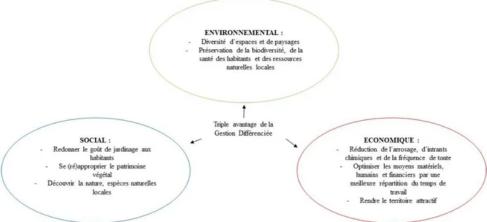 Figure 10 : Un triple avantage de la gestion différenciée (Source : CAUE de Mayenne, ROPERS E., 2019) 