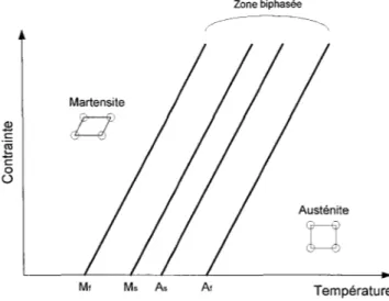 Figure 1  Martensite ~  i !  -~ ë 0 ü Mt Ms  As  Zone biphasée  ,~-------------,  Austénite  tl At  Température 