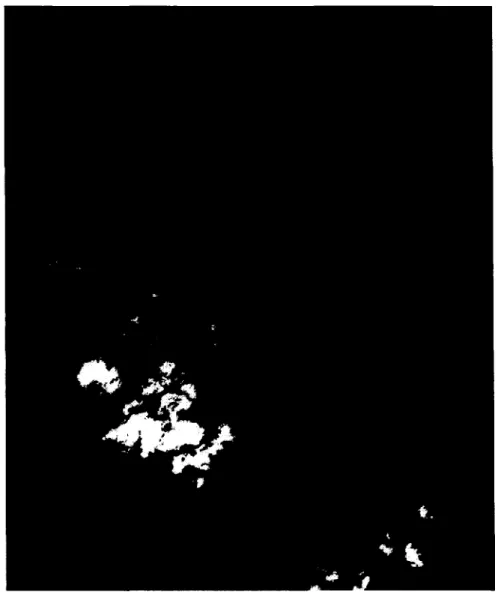 Figure 18  Image satellite basse résolution du site de Rivière au Renard (Origine: Digi- Digi-tal Globe [44]) 