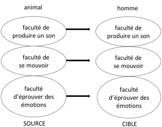 Figure 2. Représentation tridimensionnelle de l’animal dans la métaphorisation vers l’homme.