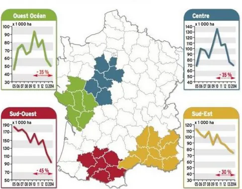Figure 1 : Principales zones de production du blé dur en France et évolution de  l’assolement (Ouvrard, 2014 d’après Arvalis) 
