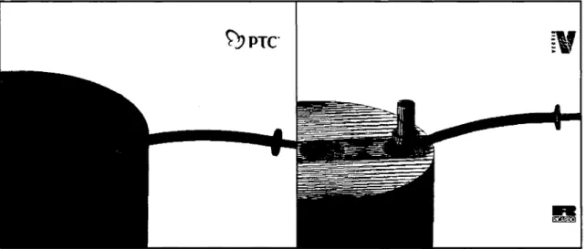 Figure  14  Images de la géométrie définie par des triangles .stl 