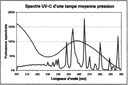 Figure 1.12: Spectre d’absorption de l’ADN et émission des lampes polychromatiques (UV Astron) [9].
