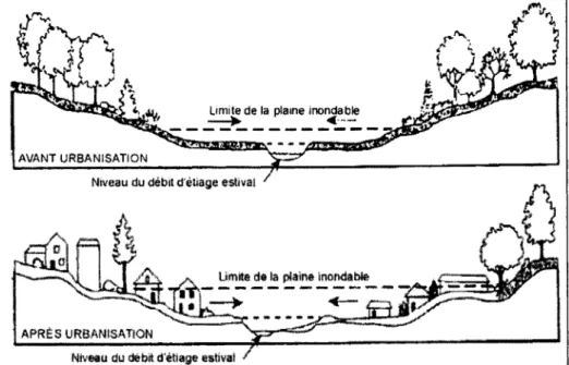 Figure 3  Modification de  l'hydrologie causée par l'urbanisation (InfraGuide, 2003) 