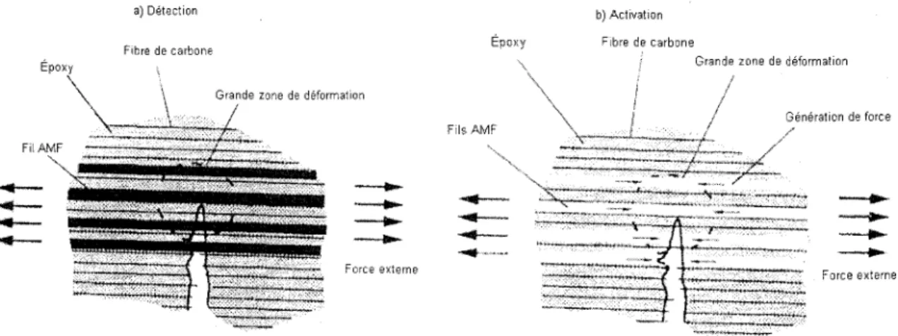 Figure  14  Principe de détection et d'activation d'AMF pour limiter les dommages [19] 