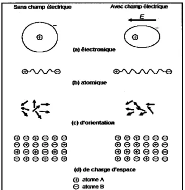 Figure 1  ~  8 \ : . _ _ )  . .  -<il  -9-'\.1'\/'-e  ~ (b) atomique (c) d'orientation CfJ®®eee ® 9 0 9 9 9  G>ct>Gleee ®@eœee (d) de charge d'espace œ aromeA e atomes 