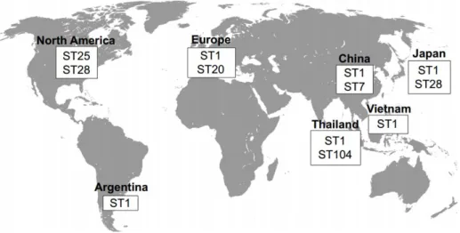 Figure 1.  Distribution mondiale des ST de S. suis sérotype 2 les plus souvent  répertoriées, tirée de (2)