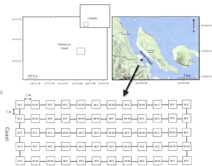 Figure  5.  A)  Location of study site  in  Fanny  Bayon  Vancouver Island ,  British  Co lumbia, Canada 