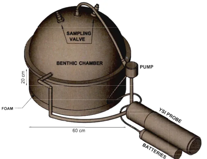 Figure  6.  System  to  measure  benthic  nutrient  fluxe s  and  oxygen  consumption,  co mposed  of a  benthic  cham ber,  a  YSI  probe,  a  pump  powered  by  batteri es  in  a  waterproof case,  a  foam ,  and  hoses